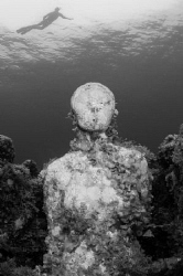 Diver views an underwater museum from above... by Spencer Burrows 